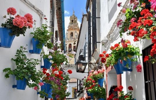 El Patio De Cruz Conde Διαμέρισμα Κόρδοβα Εξωτερικό φωτογραφία
